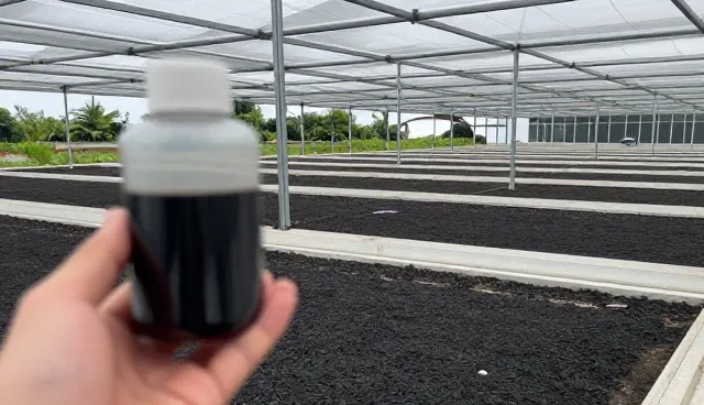 纳米光触媒治理剂在复杂施工环境中的应用适配研究